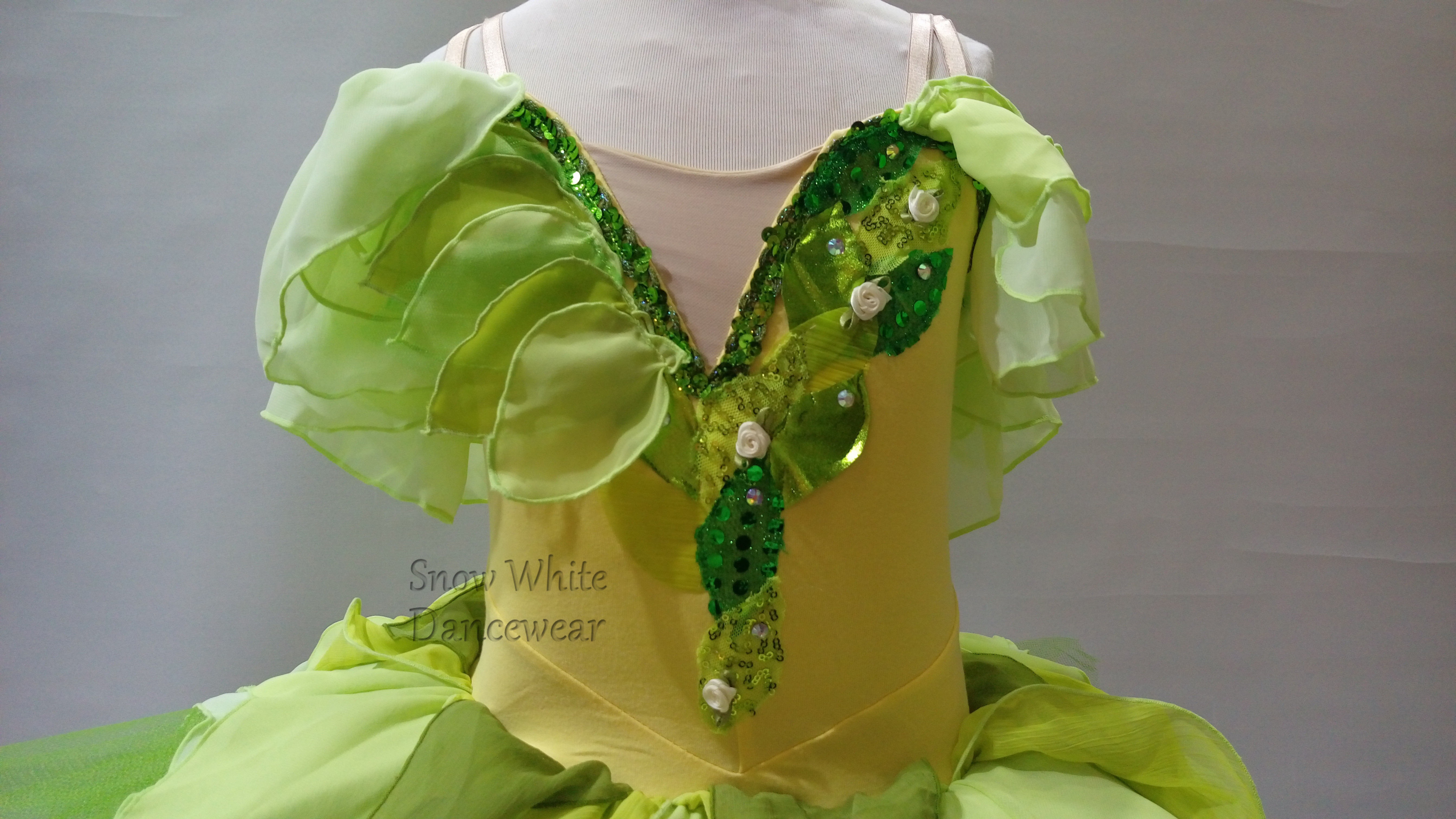 dance costumes for ballet